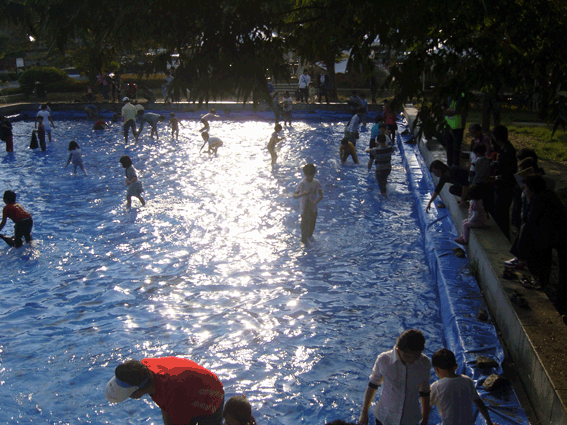 670acd38444b90489e0156905c48cb6f.gif